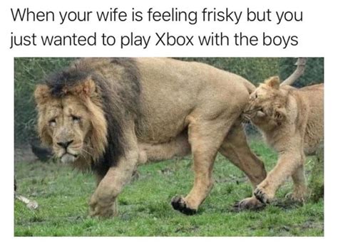 sexy wife sp|40 Funny Spicy Memes That Just Might Be The Spark Married。